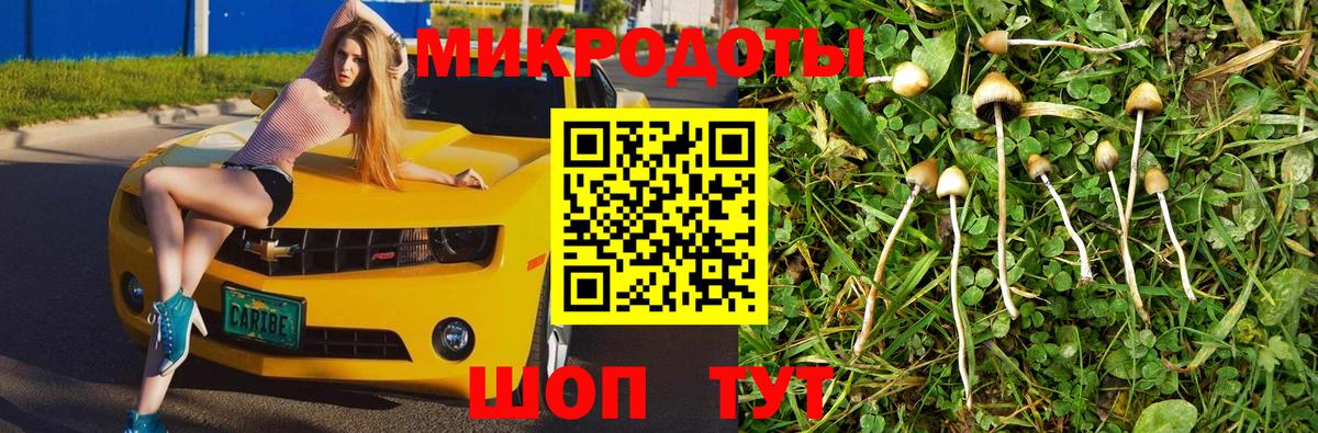 Псилоцибиновые грибы Cubensis  Вход с VPN  Рыбинск 